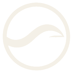 The Current symbol